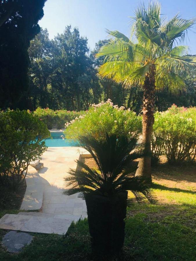 Villa Provencale Familiale Avec Piscine Grimaud Exterior photo